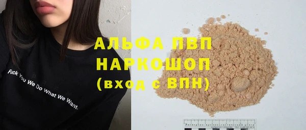 сатива Корсаков