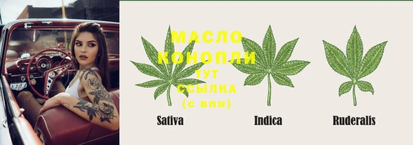 шишки Краснослободск