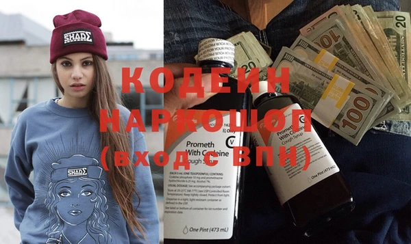 шишки Краснослободск