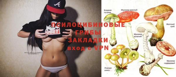 сатива Корсаков