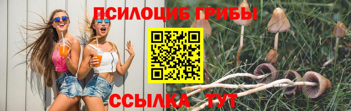 Сухой Лог  Галлюциногенные грибы Magic Shrooms  Вход с VPN  Псилоцибиновые грибы мухоморы 